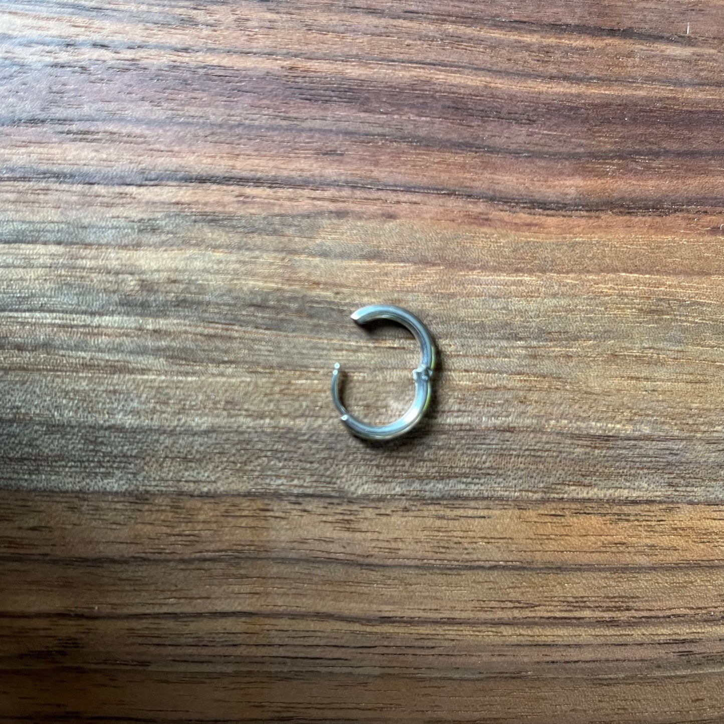 Full Persian Earring